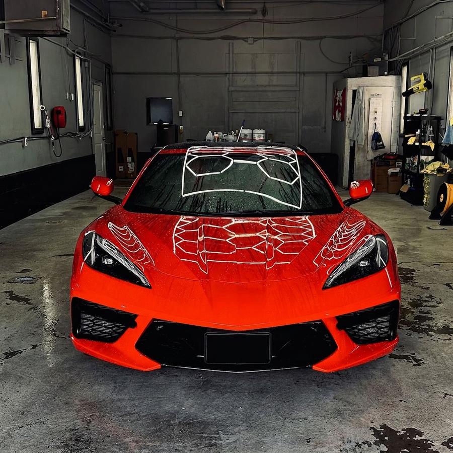 Black sports car detailed in a Caledonia auto detailing workshop